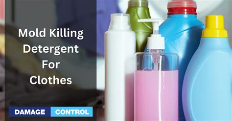 Can Laundry Detergent Kill Germs