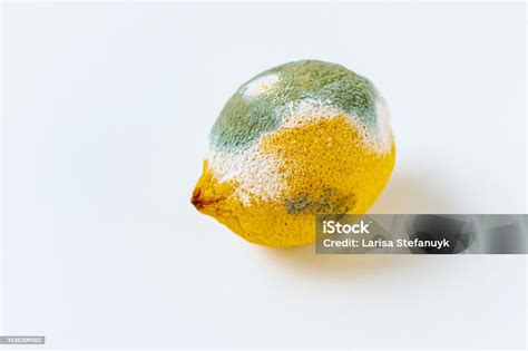 Can Lemons Get Moldy