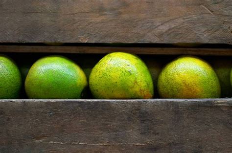 Can Lime Juice Stop Vomiting