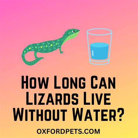 Can Lizards Live Without Water