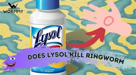 can lysol kill ringworm