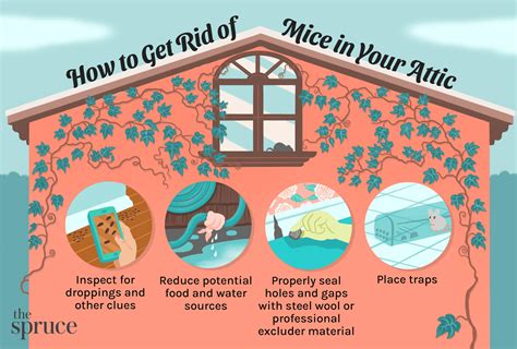 Can Mice Get In The Attic