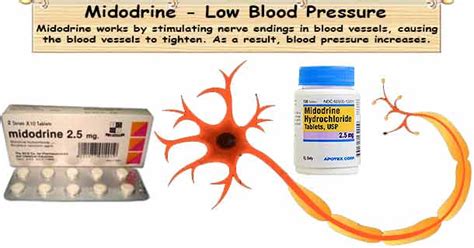 can midodrine cause low blood pressure