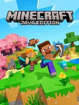 Can Minecraft Be Played Without Internet
