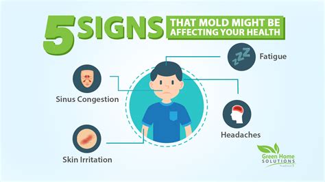 Can Mold Cause Sinus Problems