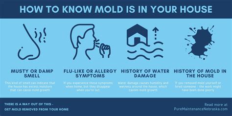 Can Mold Exposure Cause Digestive Problems
