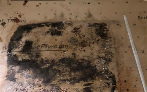 Can Mold Form Under Ceramic Tile