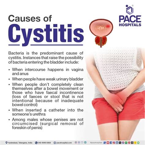 Can Ms Cause Cystitis
