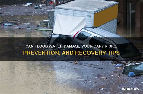 Can Mud Damage Your Car