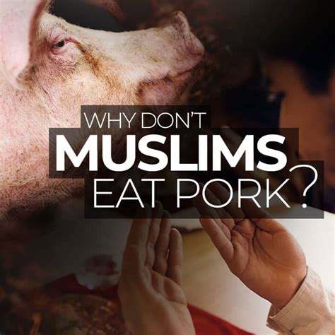 Muslim family says McDonald's intentionally served them bacon in 14