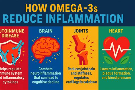 Can Omega 3 Help With Inflammation