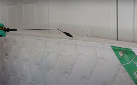 Can Paint Kill Bed Bugs