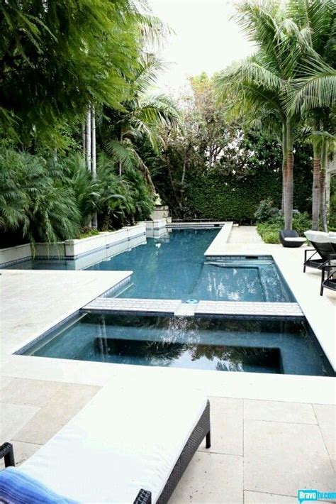 Can Palm Trees Damage Pools