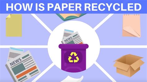 Can Paper Be Recycled