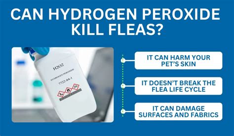 can peroxide kill fleas