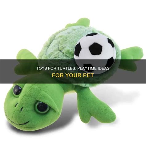 Can Pet Turtles Play