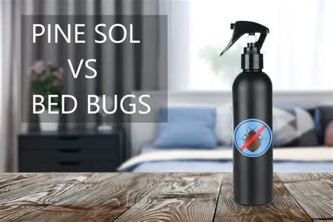 Can Pine Sol Kill Bed Bugs