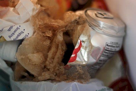 Can Plastic Bottles Explode In Freezer