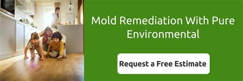 can plastic grow mold