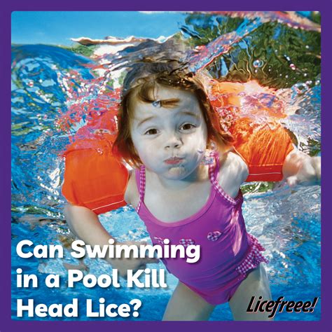 Can Pool Water Kill Lice