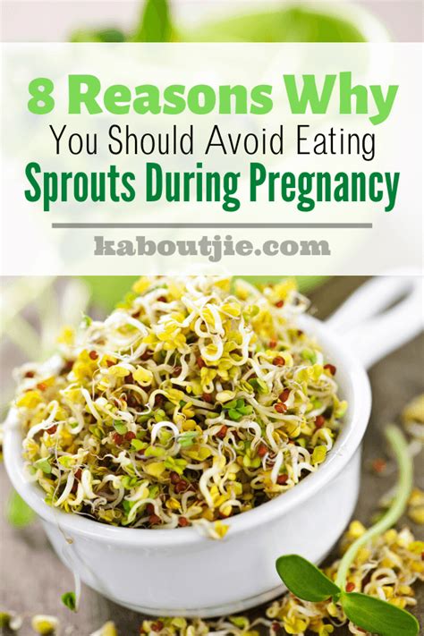 can pregnant women eat alfalfa sprouts