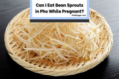 can pregnant women eat bean sprouts