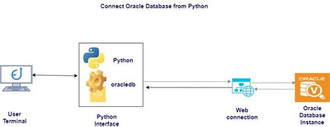 can python connect to oracle database