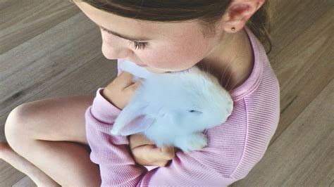 Can Rabbits Live In A Bedroom