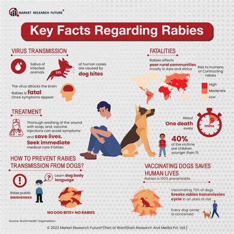 can rabies vaccine expire