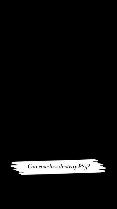 Can Roaches Get In Ps5