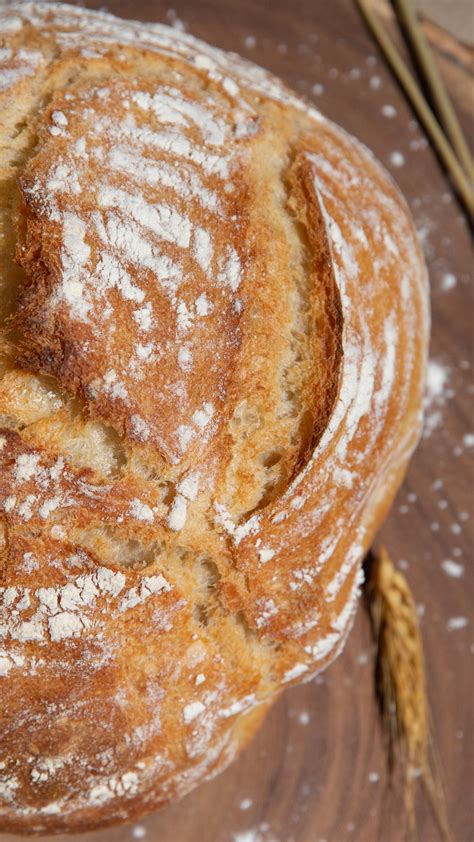 Can Sourdough Bread Cause Nausea