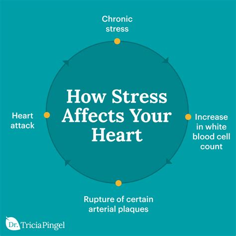 can stress cause heart damage