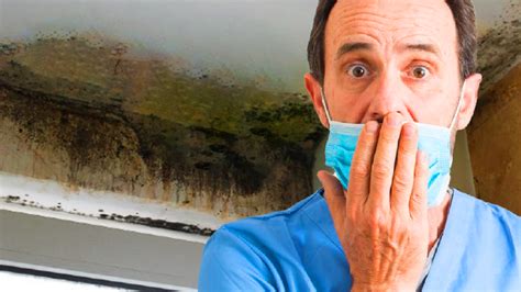 Can Surface Mold Make You Sick