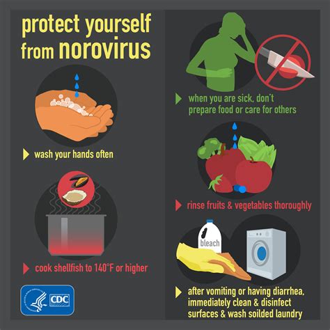 can the spread of norovirus be prevented