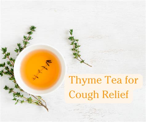 Can Thyme Help A Cough