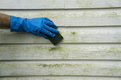 can tide and vinegzr be used to clean vinyl siding