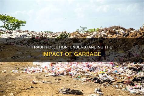 Can Trash Cause Pollution