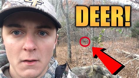 Can U Hunt Deer With Rifle On Sunday In Va 