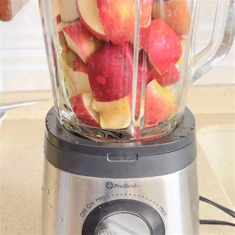 Can U Put Apples In A Blender