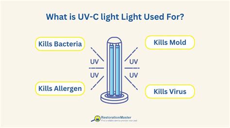 Can Uv Light Kill Mold