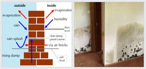 Can Wallpaper Cause Damp