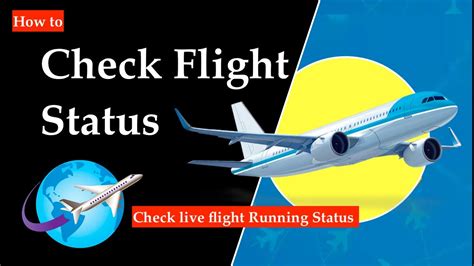 can we check flight status