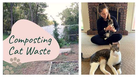 Can We Compost Cat Waste