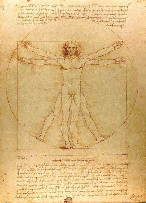 can we go to see the vitruvian man drawing