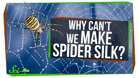 Can We Make Spider Silk
