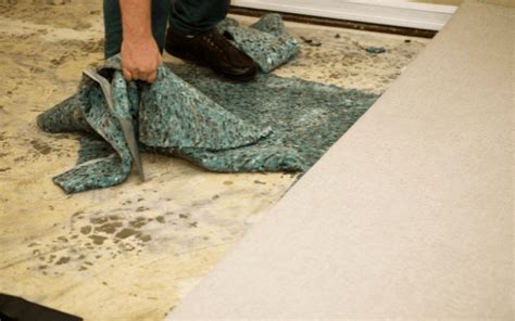 Can Wet Carpet Padding Be Saved