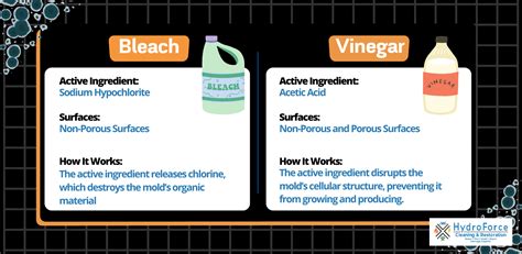 Can White Vinegar Replace Bleach