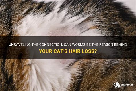 Can Worms Make A Cat Lose Hair 