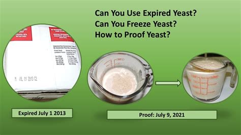 Can Yeast Expire