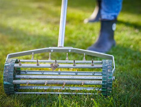 How To Aerate Lawn The Definitive Guide 2020 SumoGardener